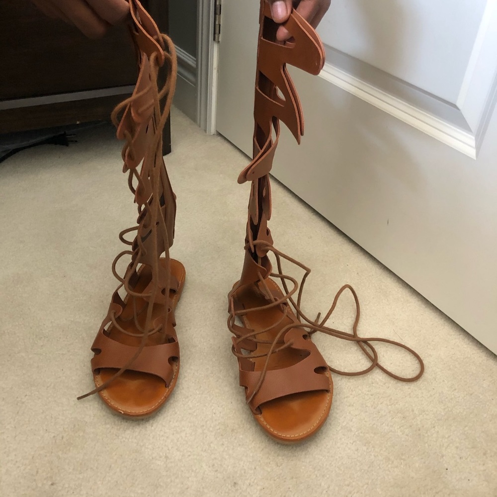 Brown gladiators